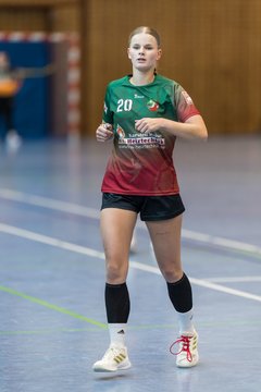 Bild 129 - F HSG Kremperheide/Muensterdorf - HSG Holstein Kiel/Kronshagen : Ergebnis: 31:26